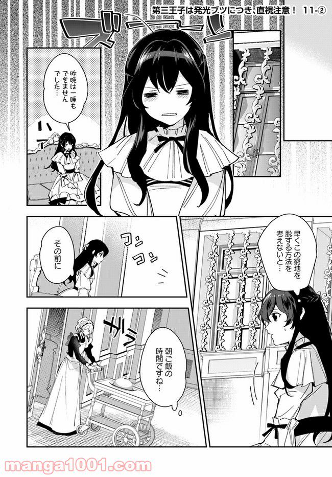 第三王子は発光ブツにつき、直視注意！ - 第11.2話 - Page 1