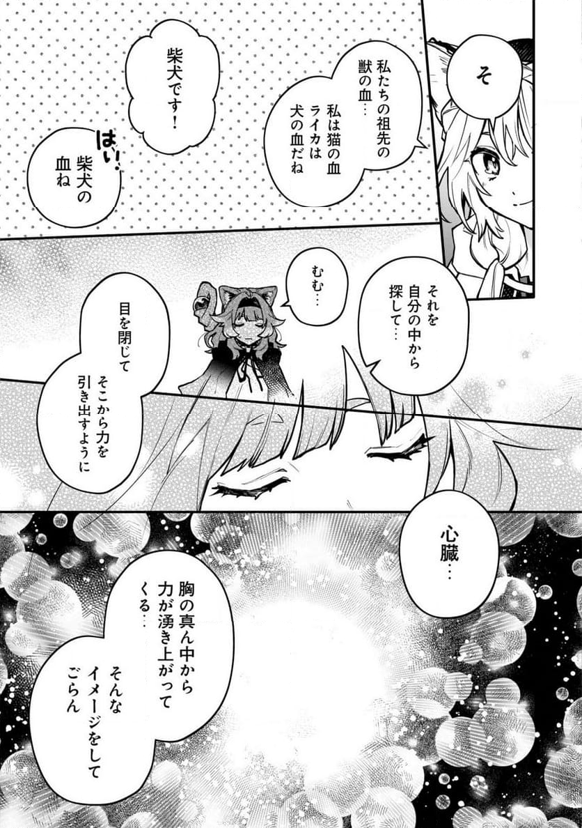 猫魔法が世界に革命を起こすそうですよ? - 第8話 - Page 15