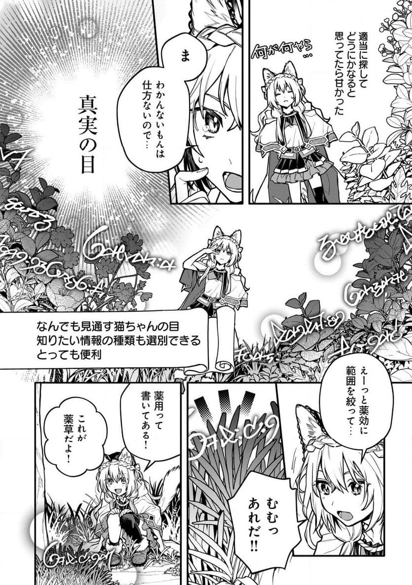 猫魔法が世界に革命を起こすそうですよ? - 第8話 - Page 20