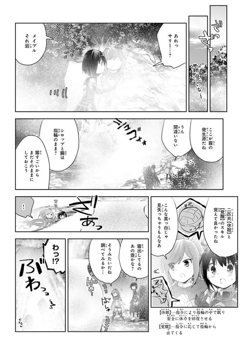 痛いのは嫌なので防御力に極振りしたいと思います。 - 第13話 - Page 17