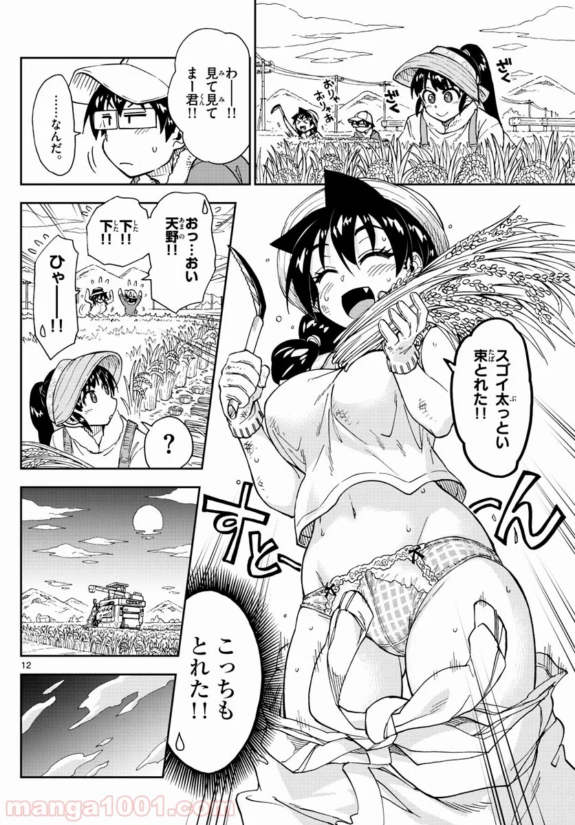 天野めぐみはスキだらけ! - 第165話 - Page 12