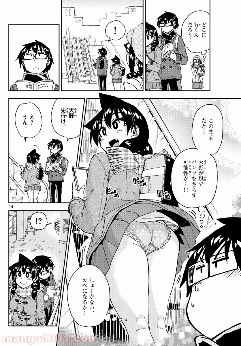 天野めぐみはスキだらけ! - 第204話 - Page 14