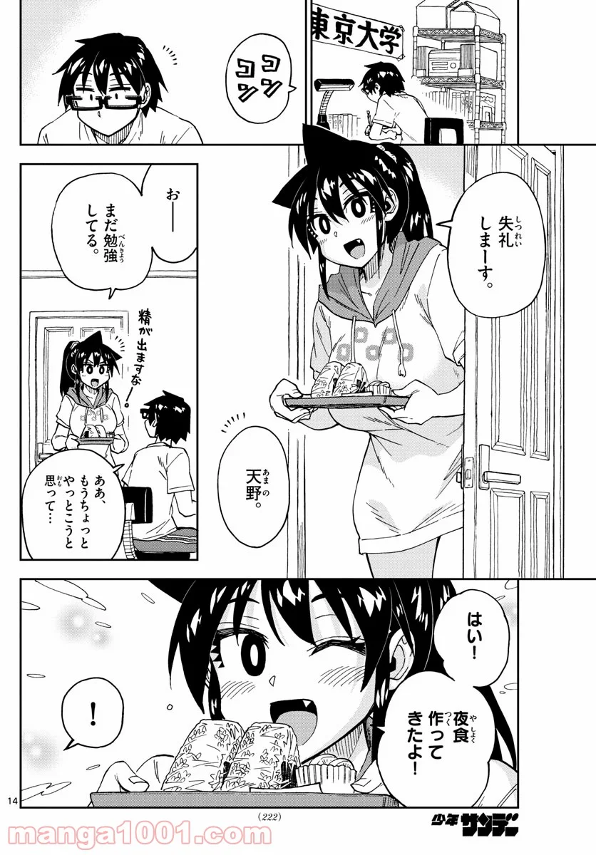 天野めぐみはスキだらけ! - 第247話 - Page 14