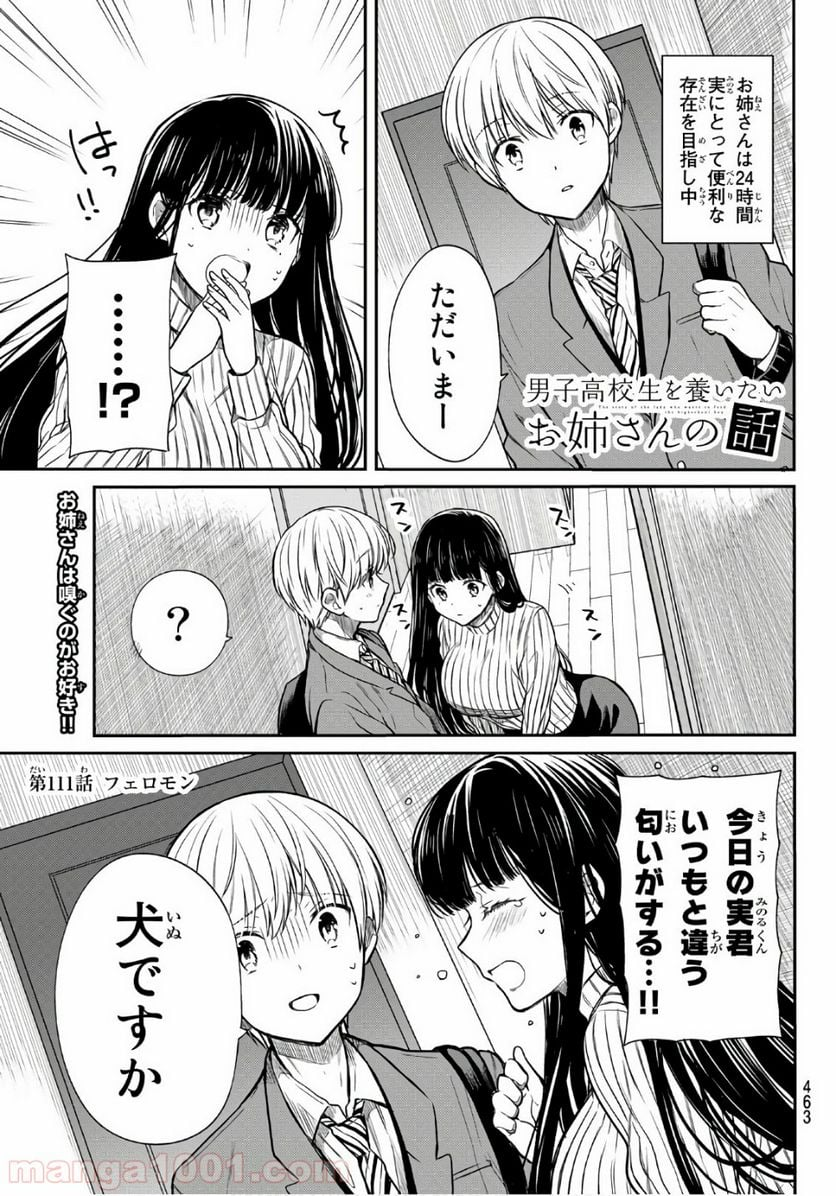 男子高校生を養いたいお姉さんの話 - 第111話 - Page 1