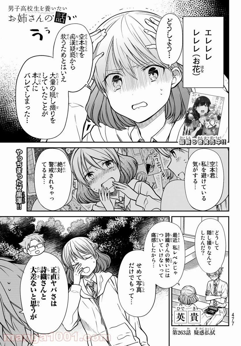 男子高校生を養いたいお姉さんの話 - 第263話 - Page 1