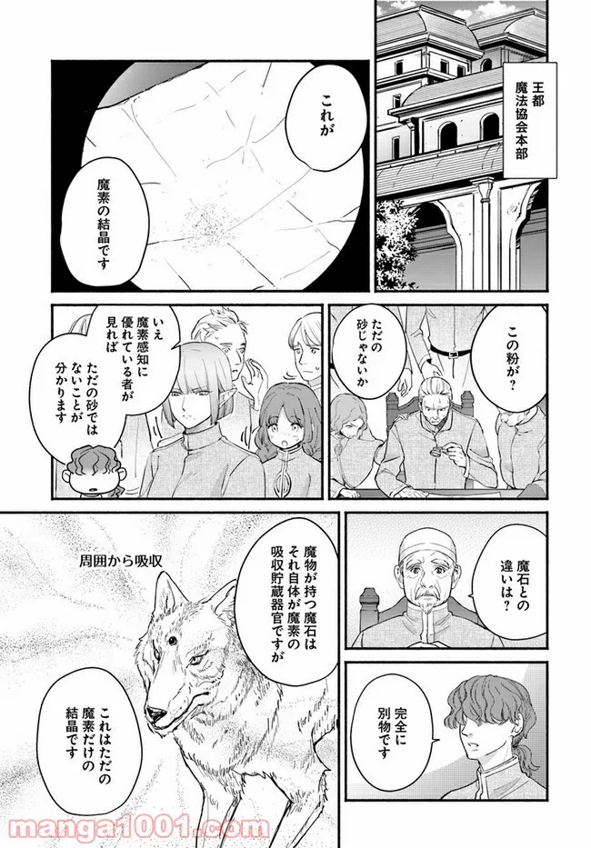 ファンタジーをほとんど知らない女子高生による異世界転移生活 - 第14.1話 - Page 19