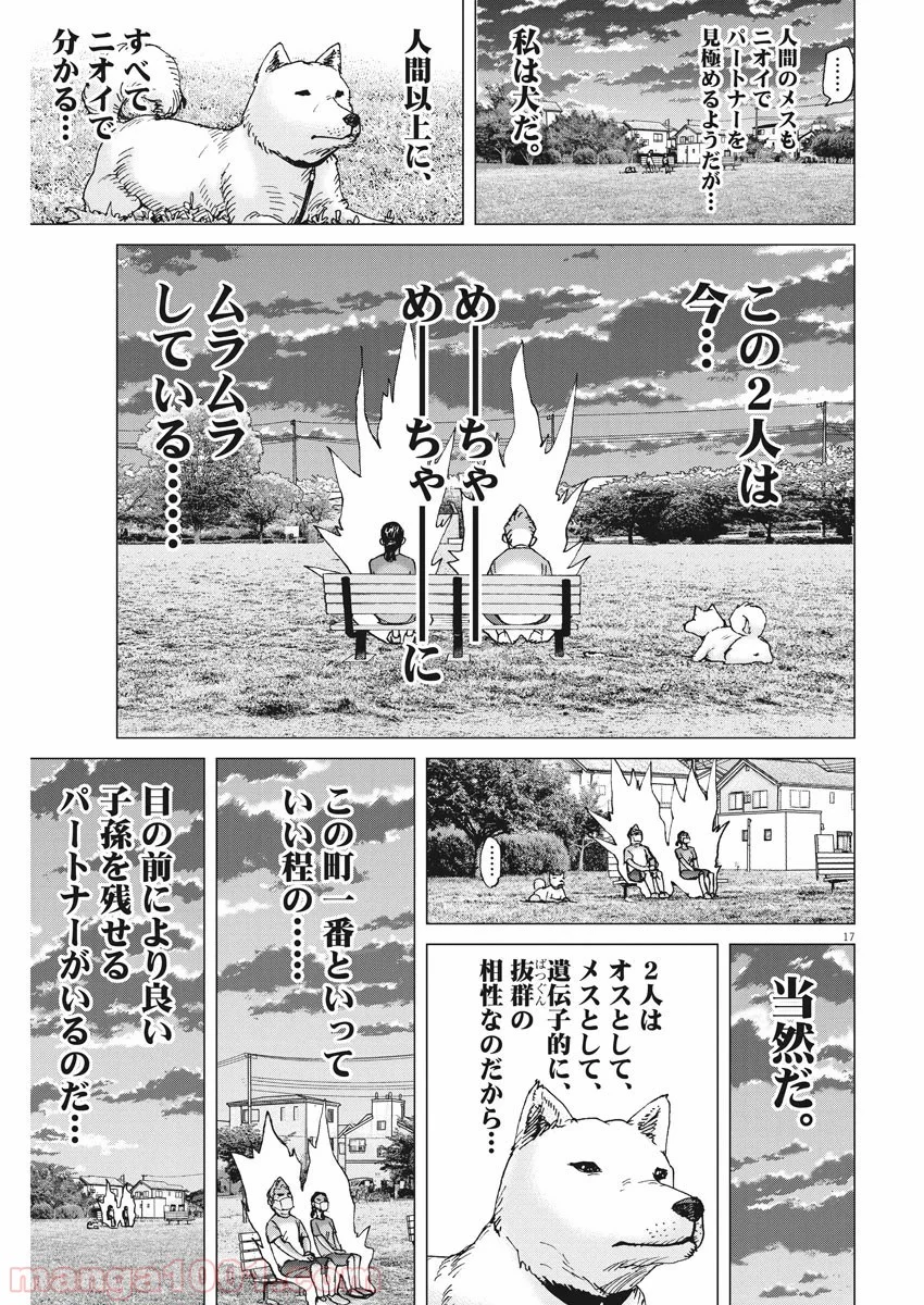 結婚アフロ田中 - 第79話 - Page 17