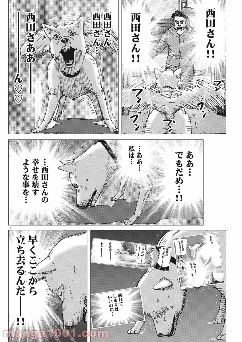 結婚アフロ田中 - 第96話 - Page 14