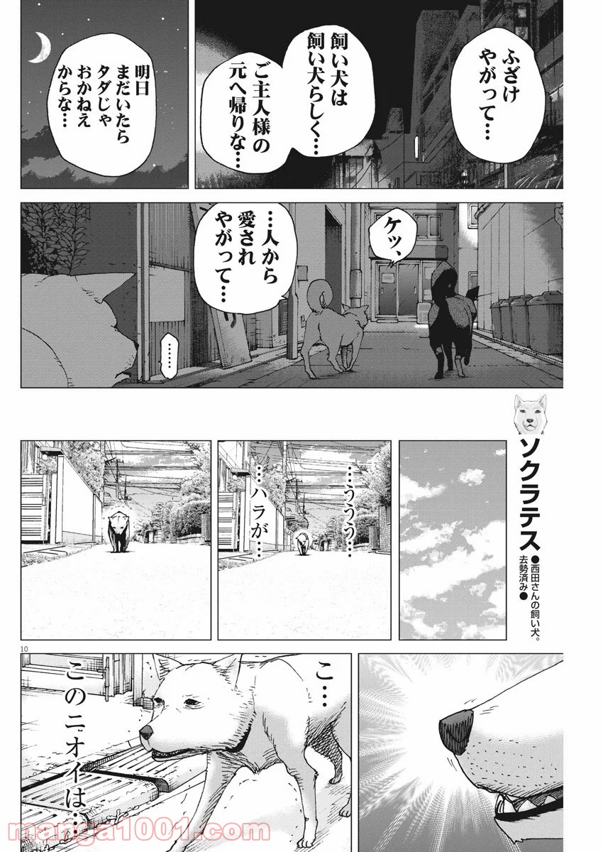 結婚アフロ田中 - 第96話 - Page 10