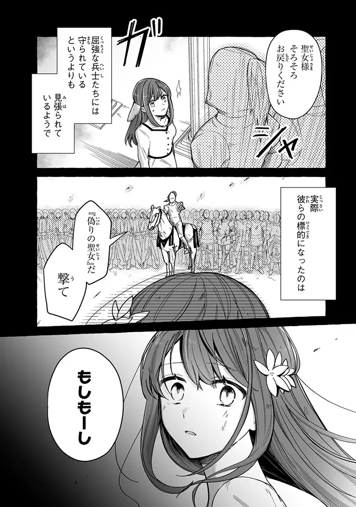 聖女と魔王の偽装婚約 ～手に手をとってホワイト国家を作ります～ - 第2.1話 - Page 3