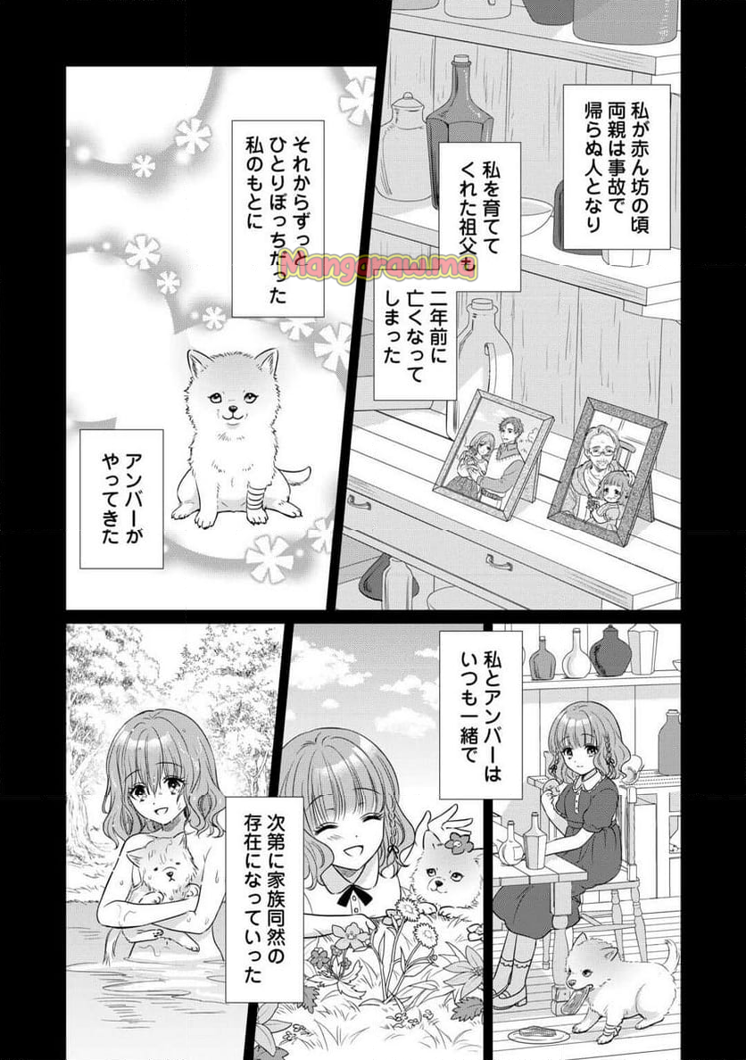 元仔狼の冷徹国王陛下に溺愛されて困っています! - 第2話 - Page 2