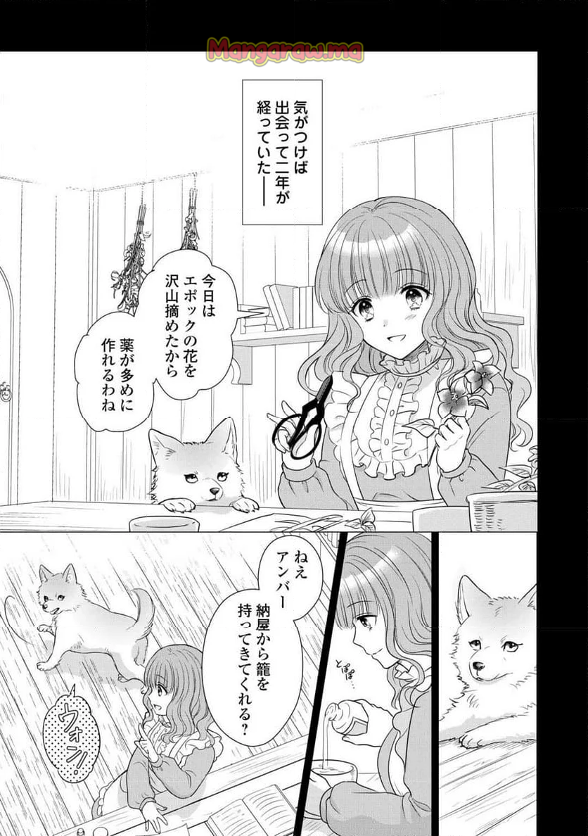 元仔狼の冷徹国王陛下に溺愛されて困っています! - 第2話 - Page 3