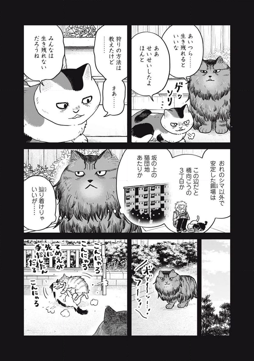 ツレ猫 マルルとハチ - 第47話 - Page 2