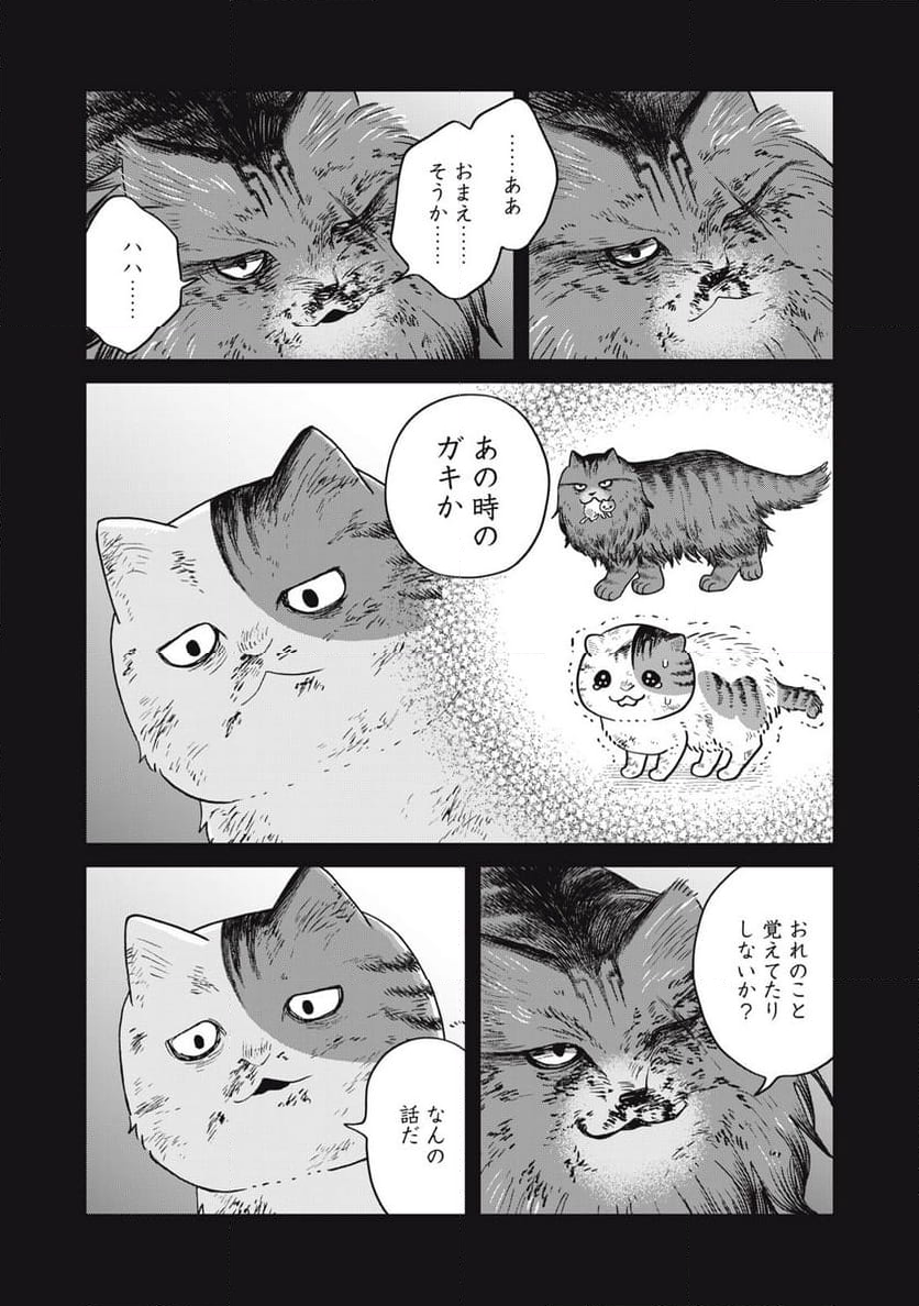 ツレ猫 マルルとハチ - 第47話 - Page 12