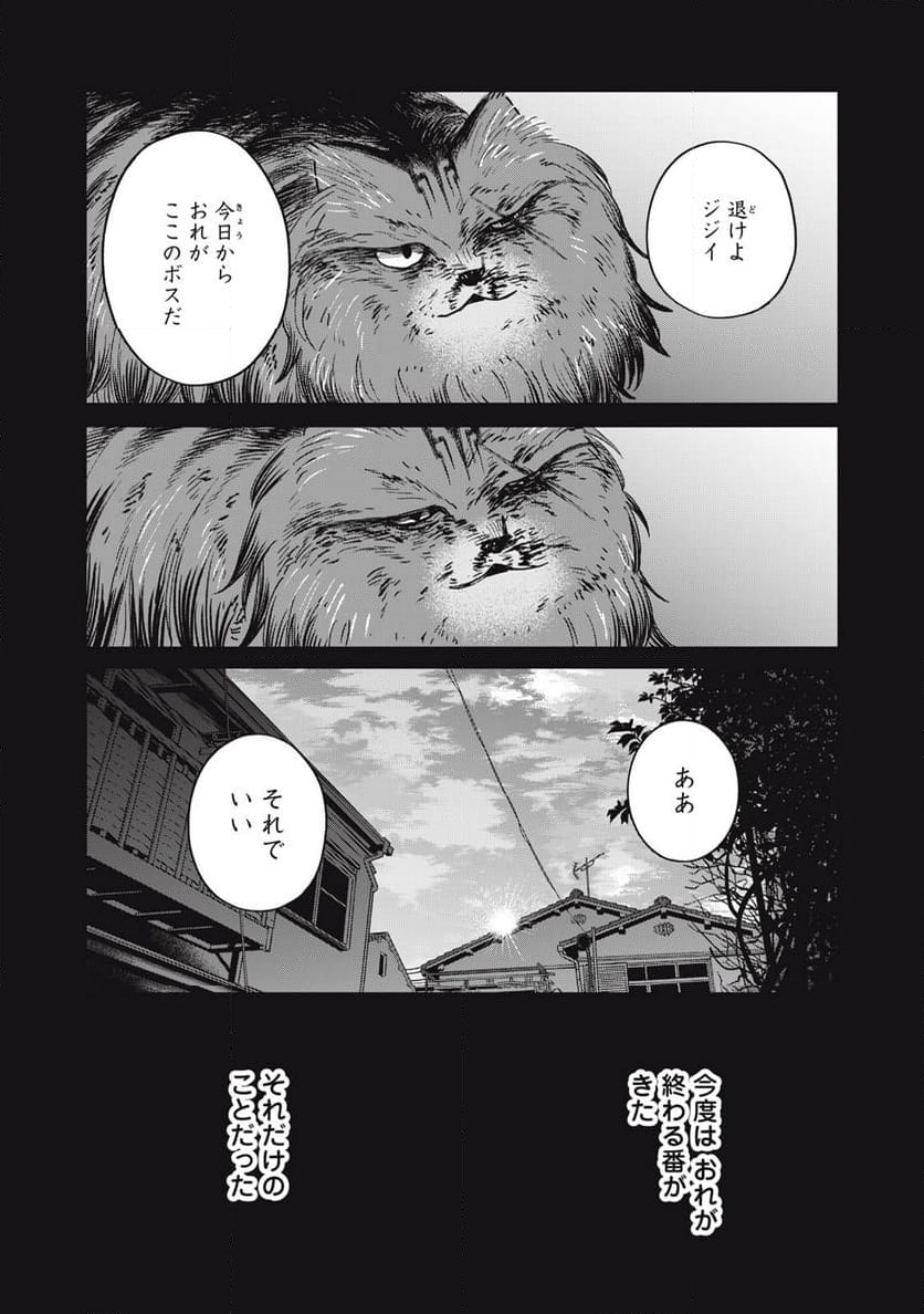 ツレ猫 マルルとハチ - 第47話 - Page 13