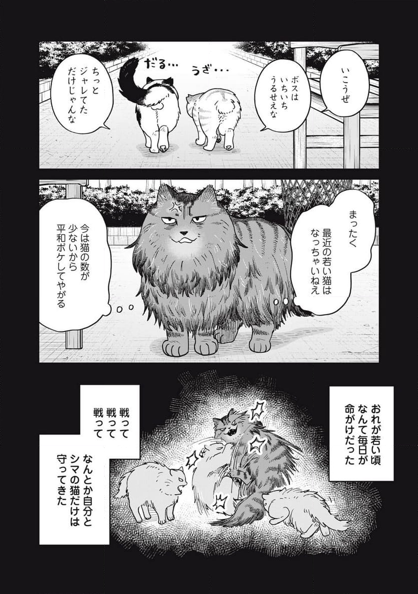 ツレ猫 マルルとハチ - 第47話 - Page 4