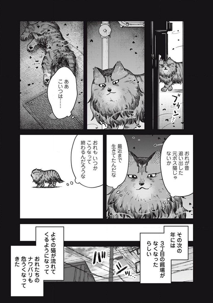 ツレ猫 マルルとハチ - 第47話 - Page 5