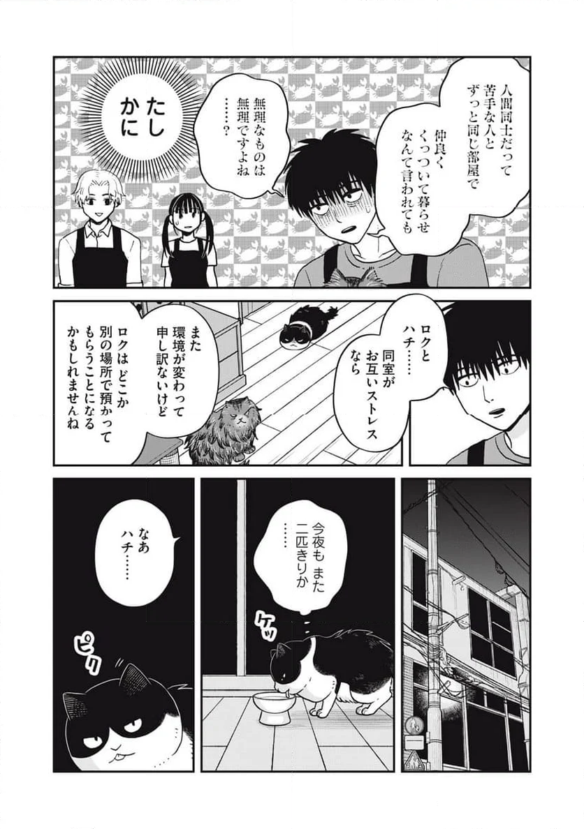 ツレ猫 マルルとハチ - 第48話 - Page 5