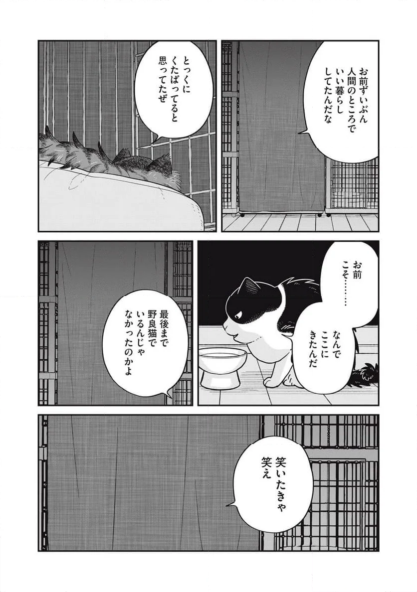 ツレ猫 マルルとハチ - 第48話 - Page 6