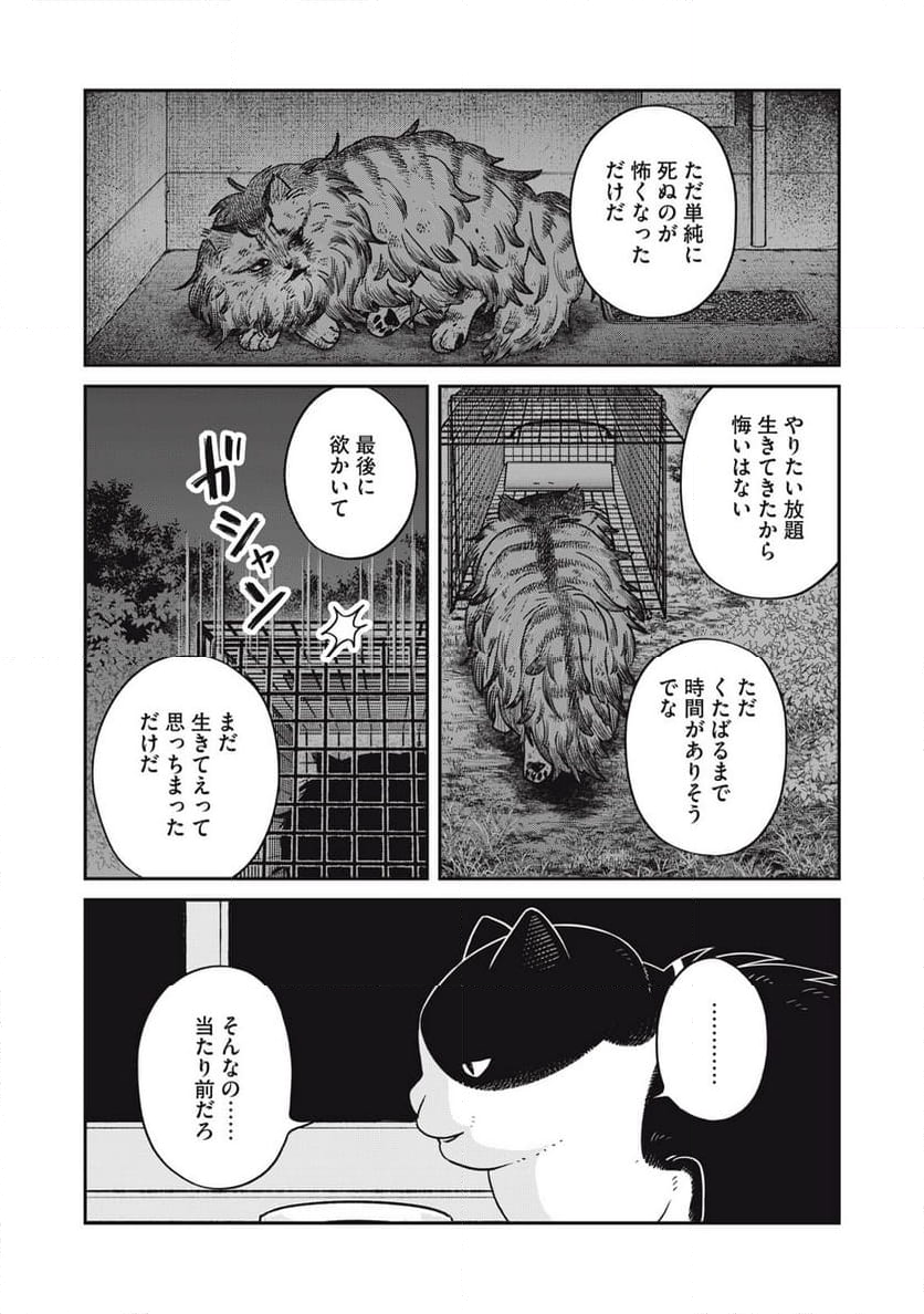 ツレ猫 マルルとハチ - 第48話 - Page 7