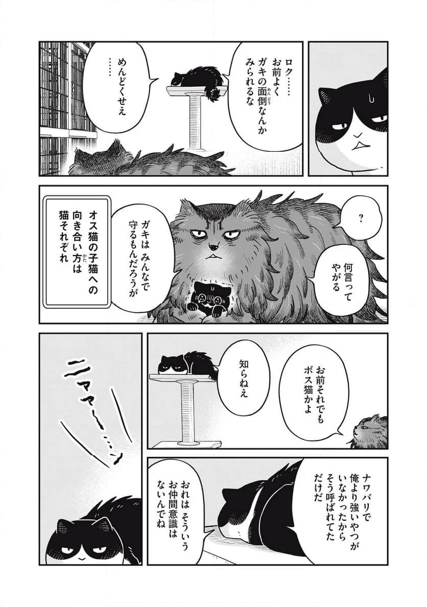 ツレ猫 マルルとハチ - 第49話 - Page 3