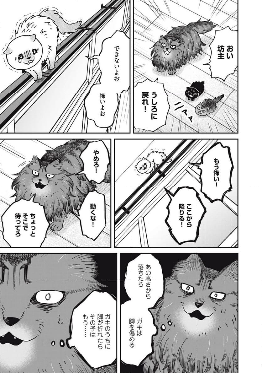 ツレ猫 マルルとハチ - 第49話 - Page 5