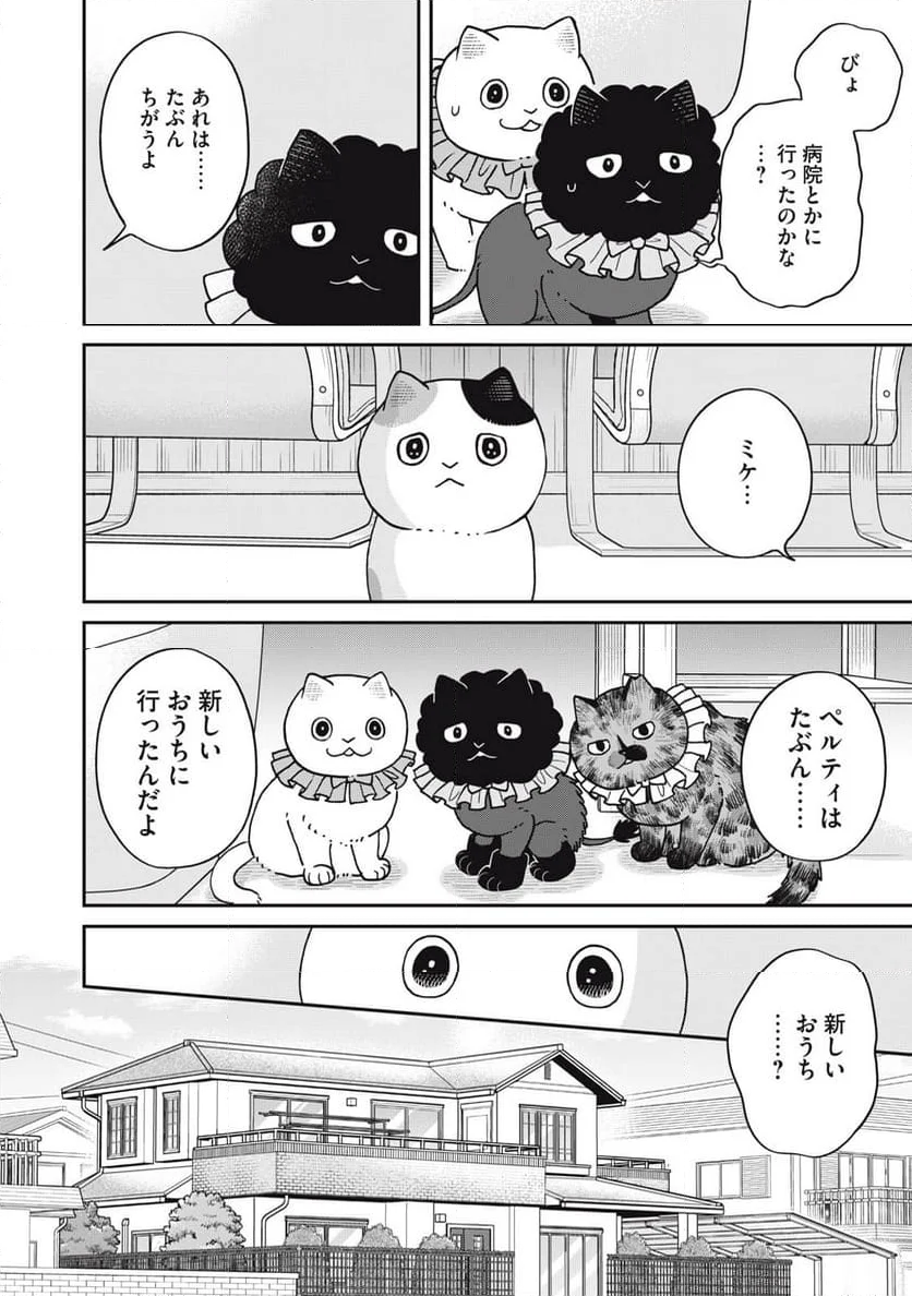 ツレ猫 マルルとハチ - 第50話 - Page 4