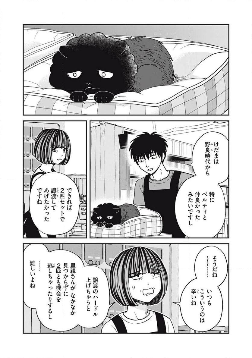 ツレ猫 マルルとハチ - 第50話 - Page 8