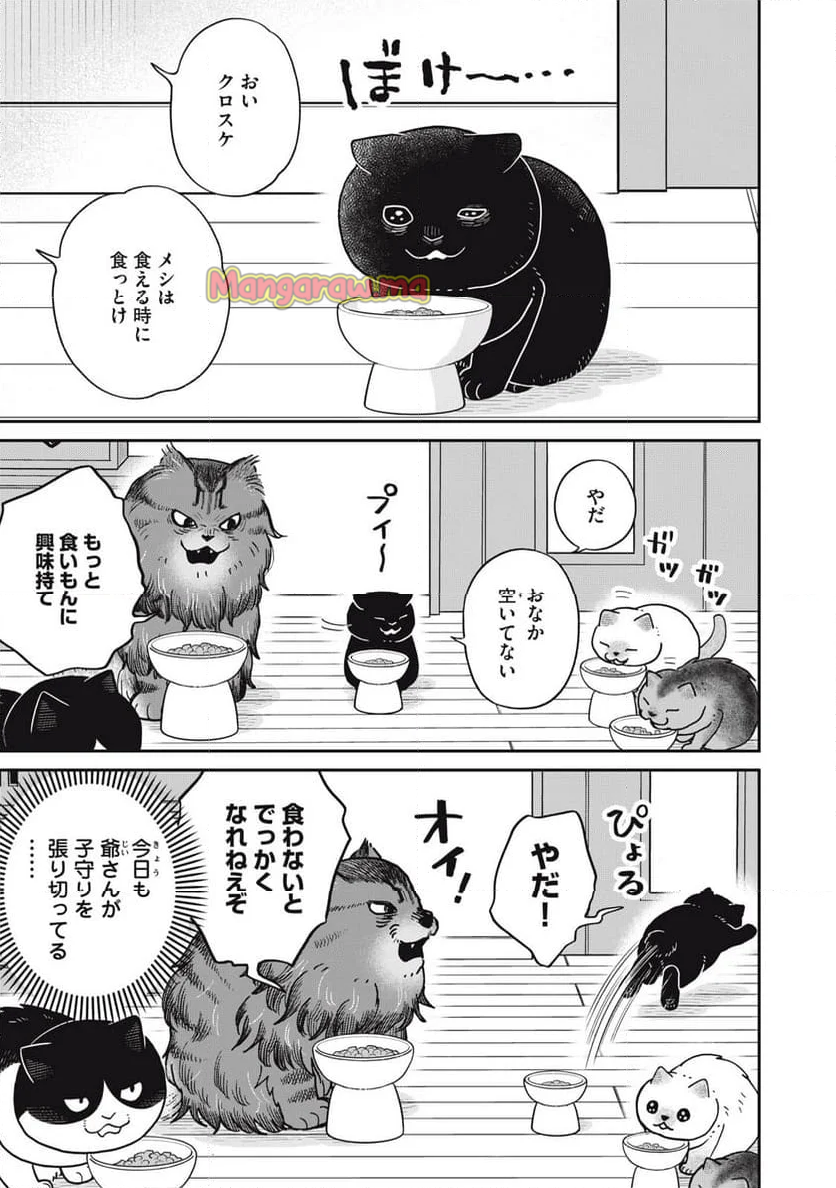 ツレ猫 マルルとハチ - 第51話 - Page 1