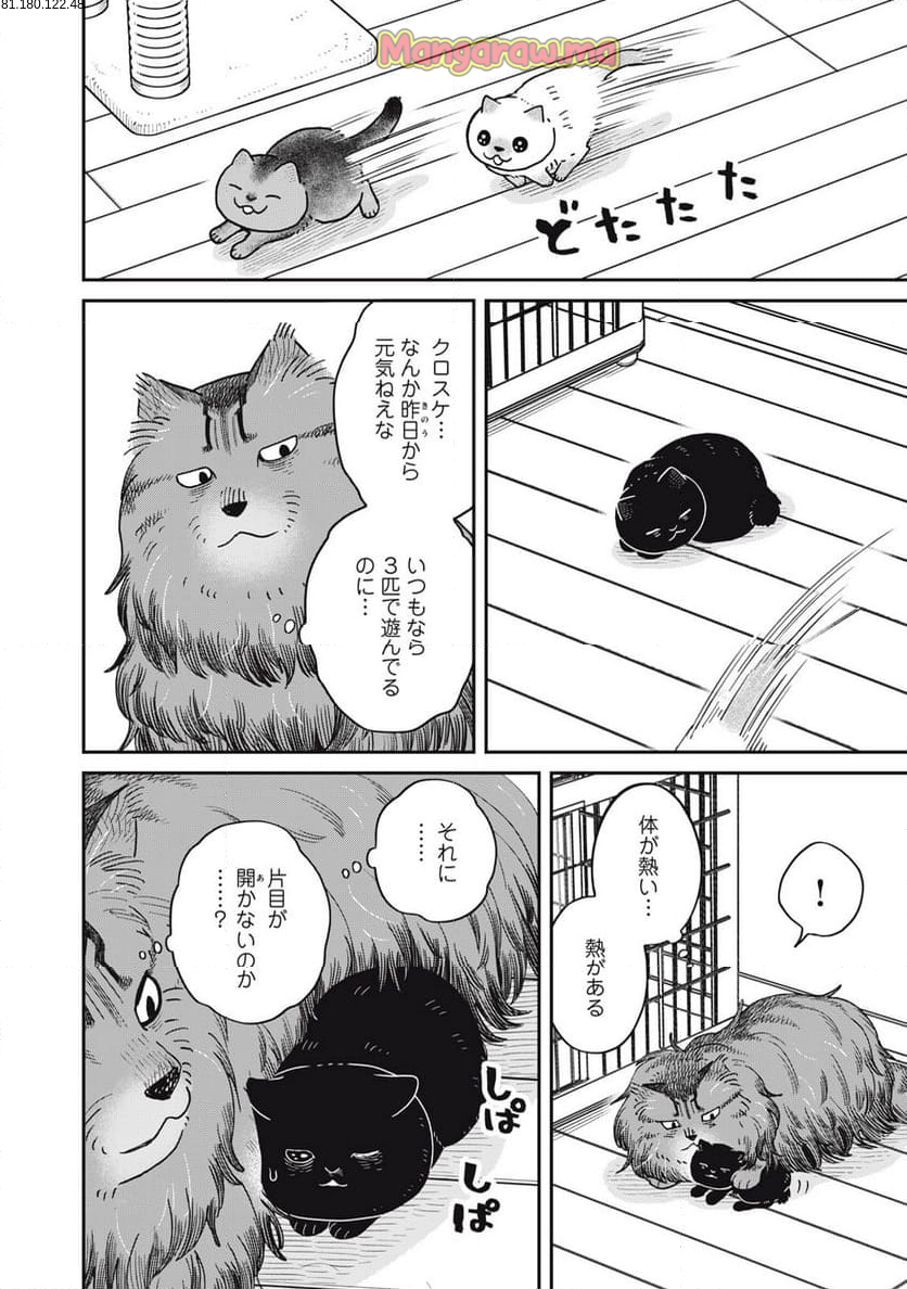 ツレ猫 マルルとハチ - 第51話 - Page 2