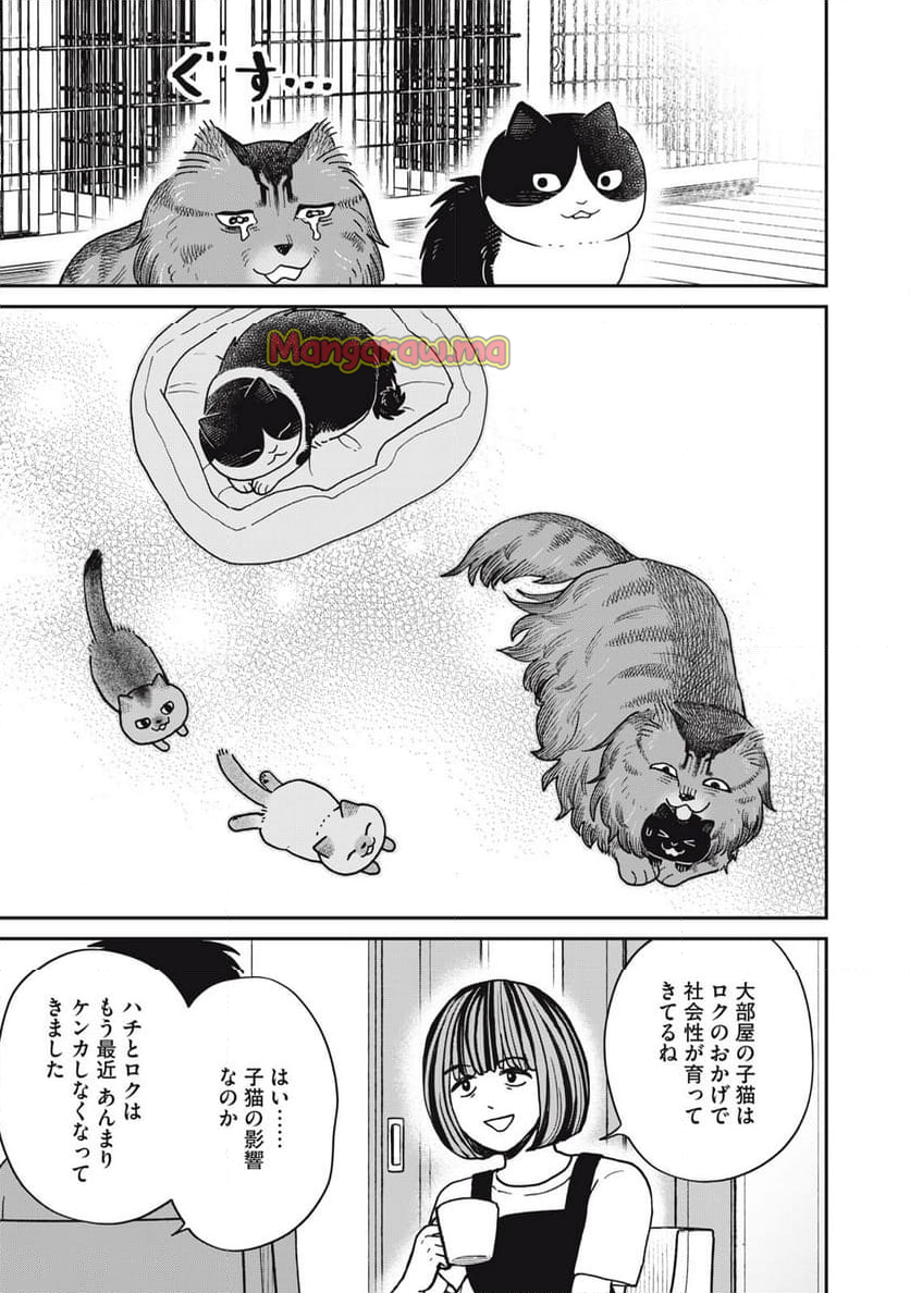 ツレ猫 マルルとハチ - 第51話 - Page 11