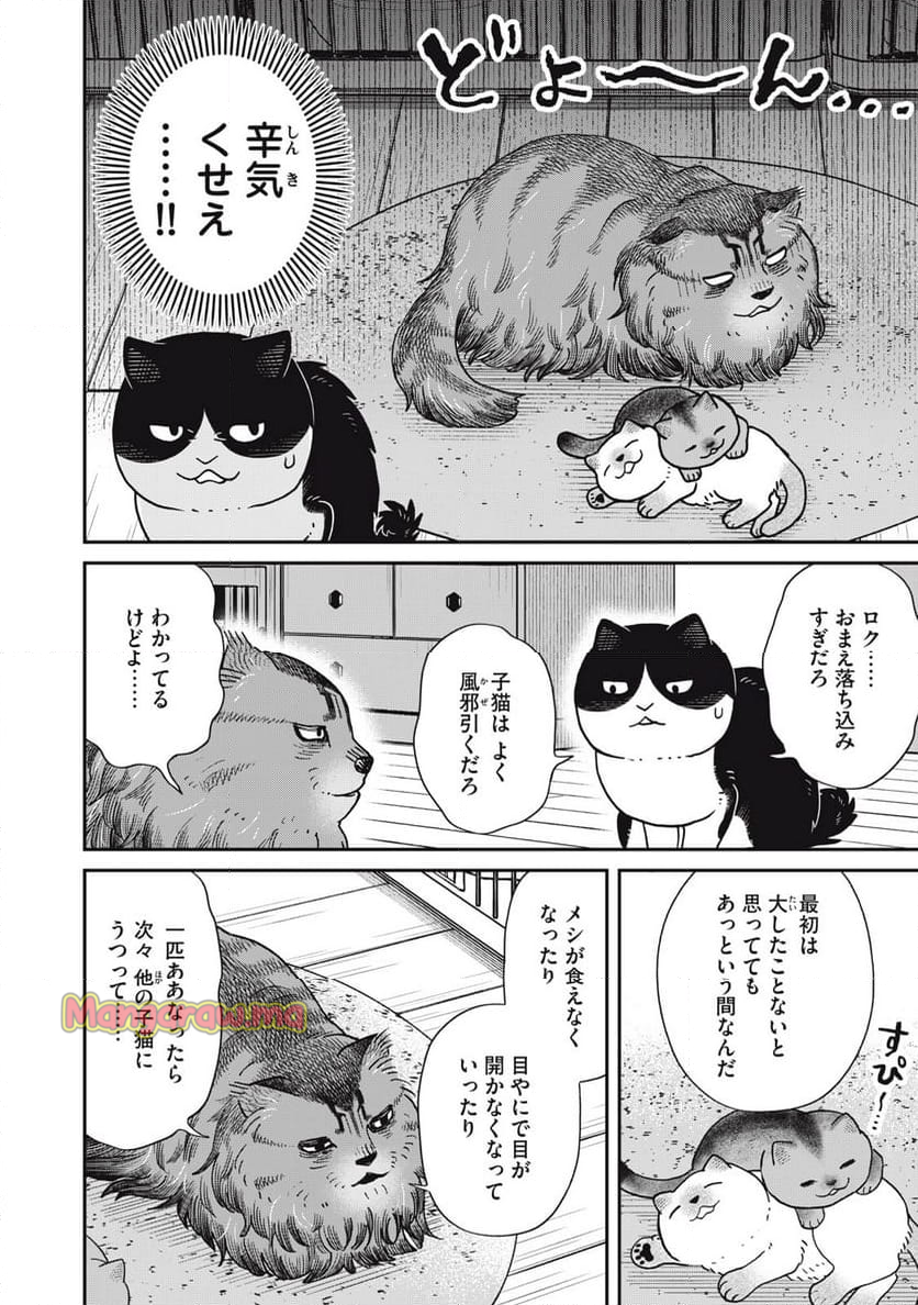 ツレ猫 マルルとハチ - 第51話 - Page 4