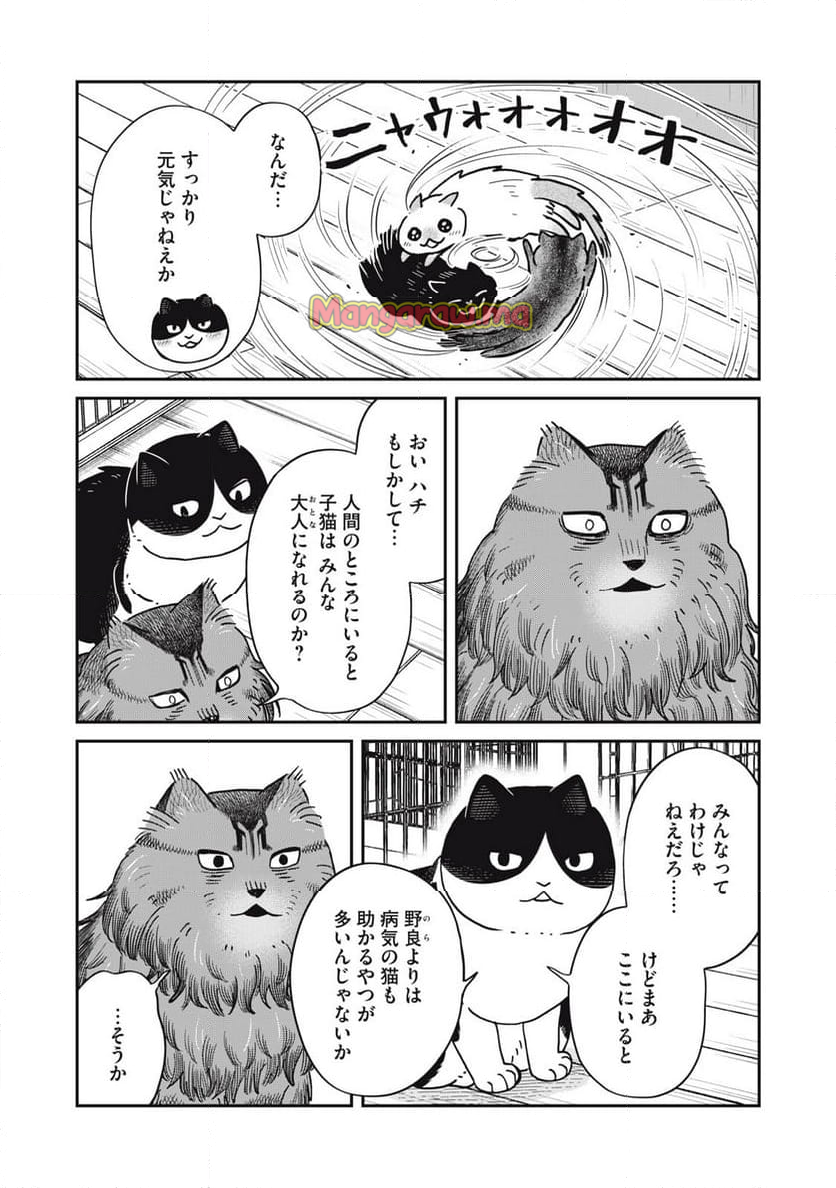 ツレ猫 マルルとハチ - 第51話 - Page 9