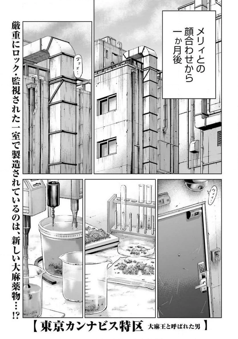 東京カンナビス特区 大麻王と呼ばれた男 - 第49話 - Page 1