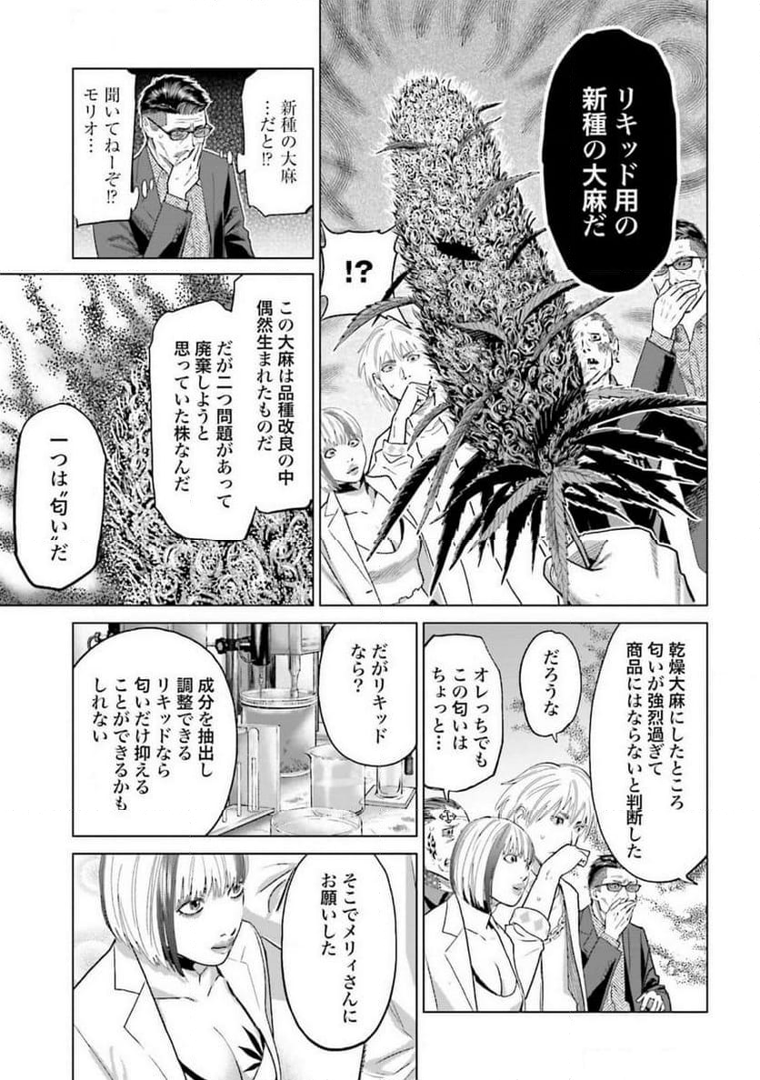 東京カンナビス特区 大麻王と呼ばれた男 - 第49話 - Page 15