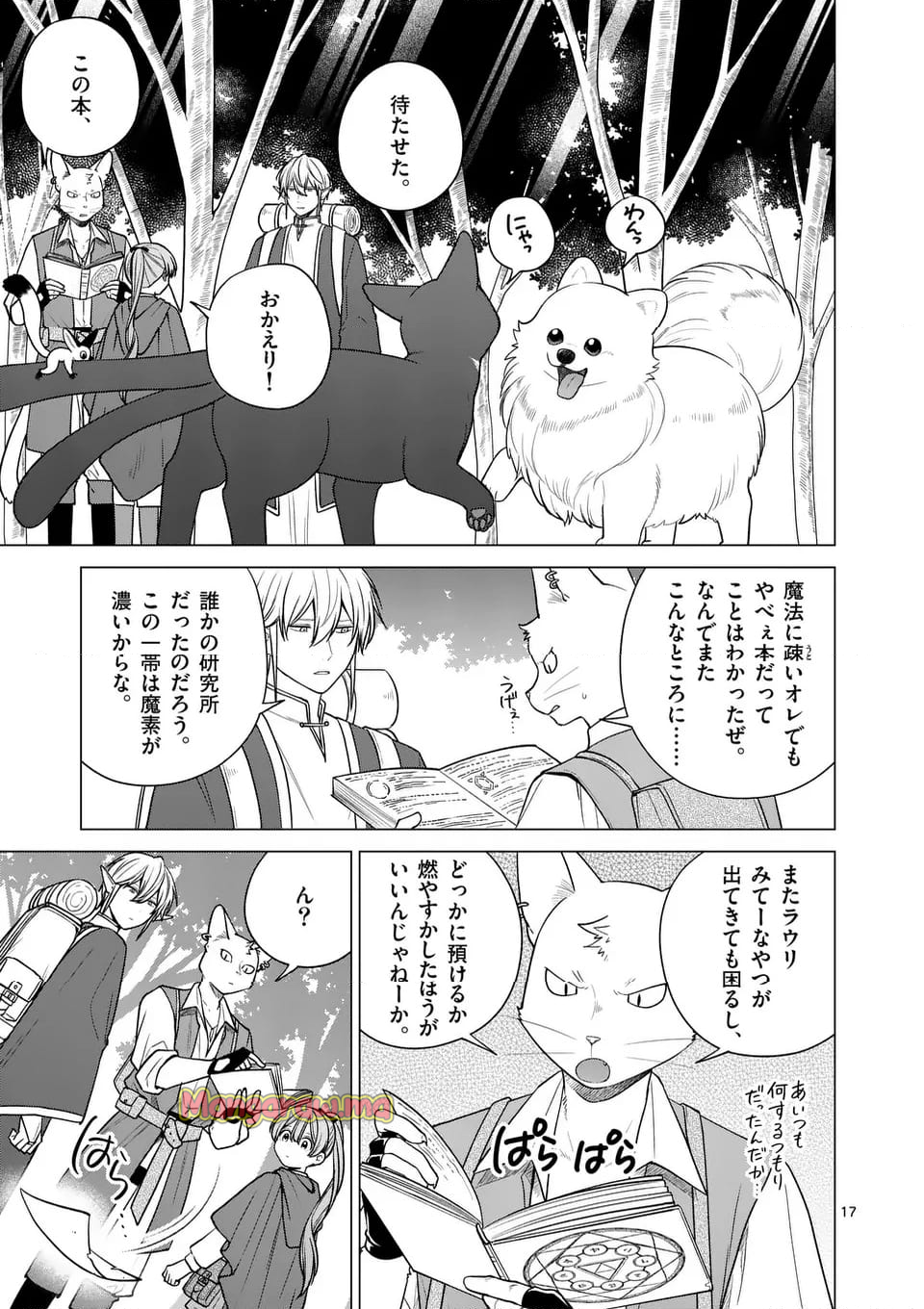 異世界ポメラニアンと虹のもふもふ旅 - 第20話 - Page 17