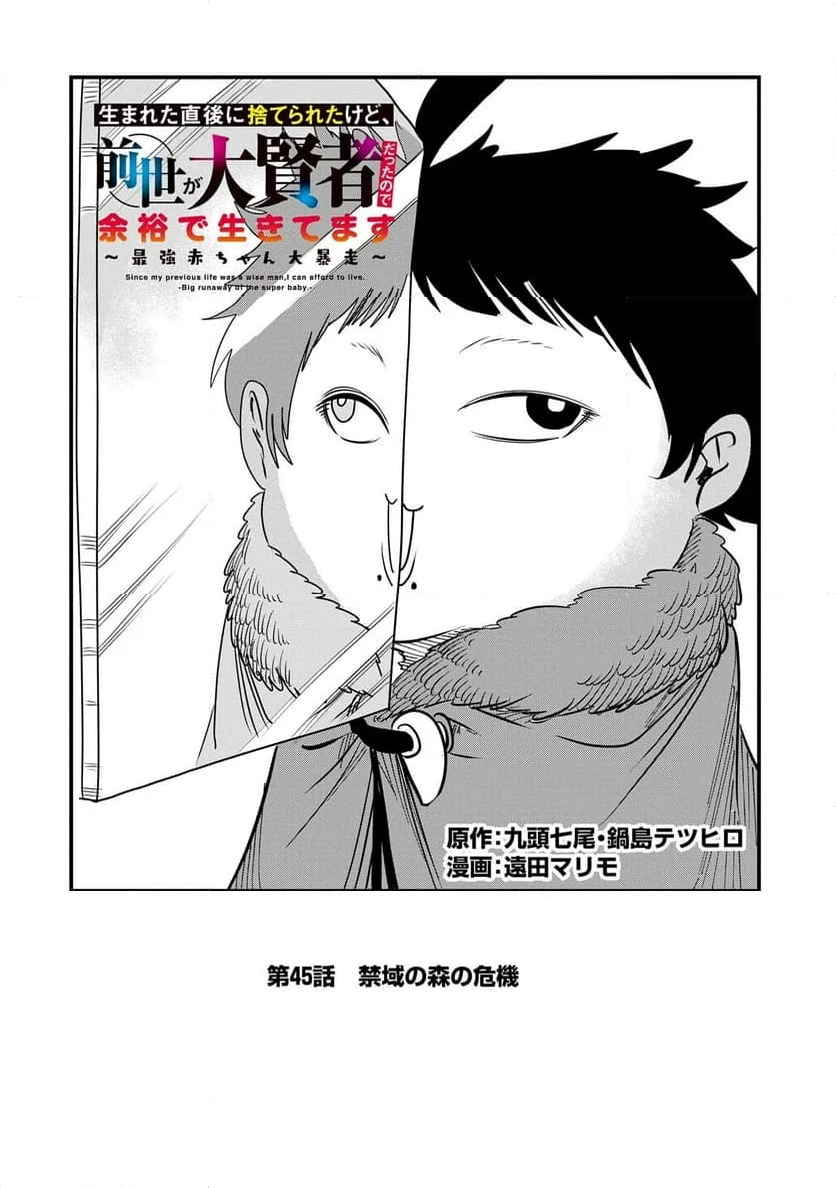 生まれた直後に捨てられたけど、前世が大賢者だったので余裕で生きてます - 第45話 - Page 2