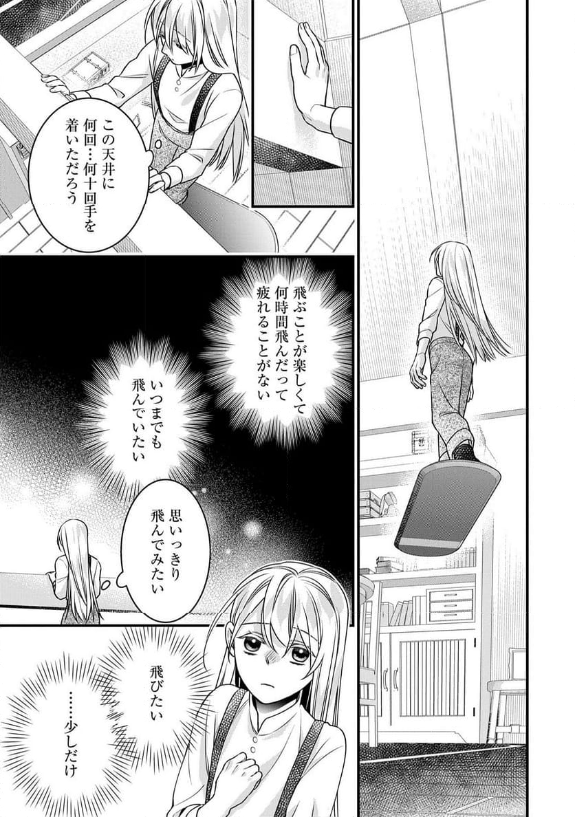 空騎士団と救国の少女～空を飛ぶ少女アイリスの物語～ - 第5話 - Page 33