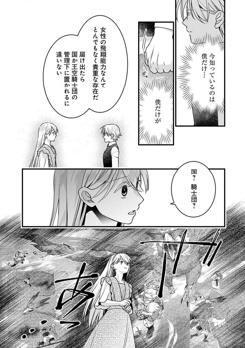 空騎士団と救国の少女～空を飛ぶ少女アイリスの物語～ - 第5話 - Page 7