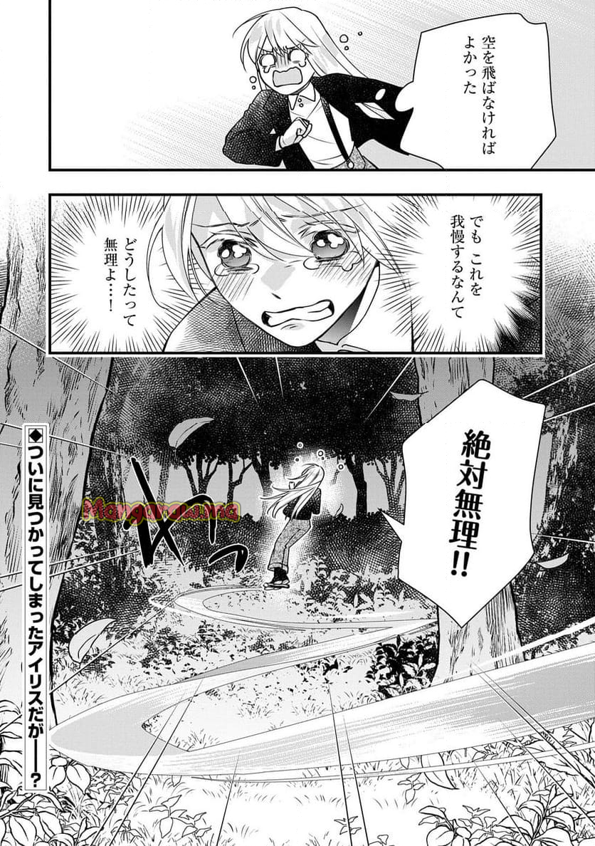 空騎士団と救国の少女～空を飛ぶ少女アイリスの物語～ - 第6話 - Page 32