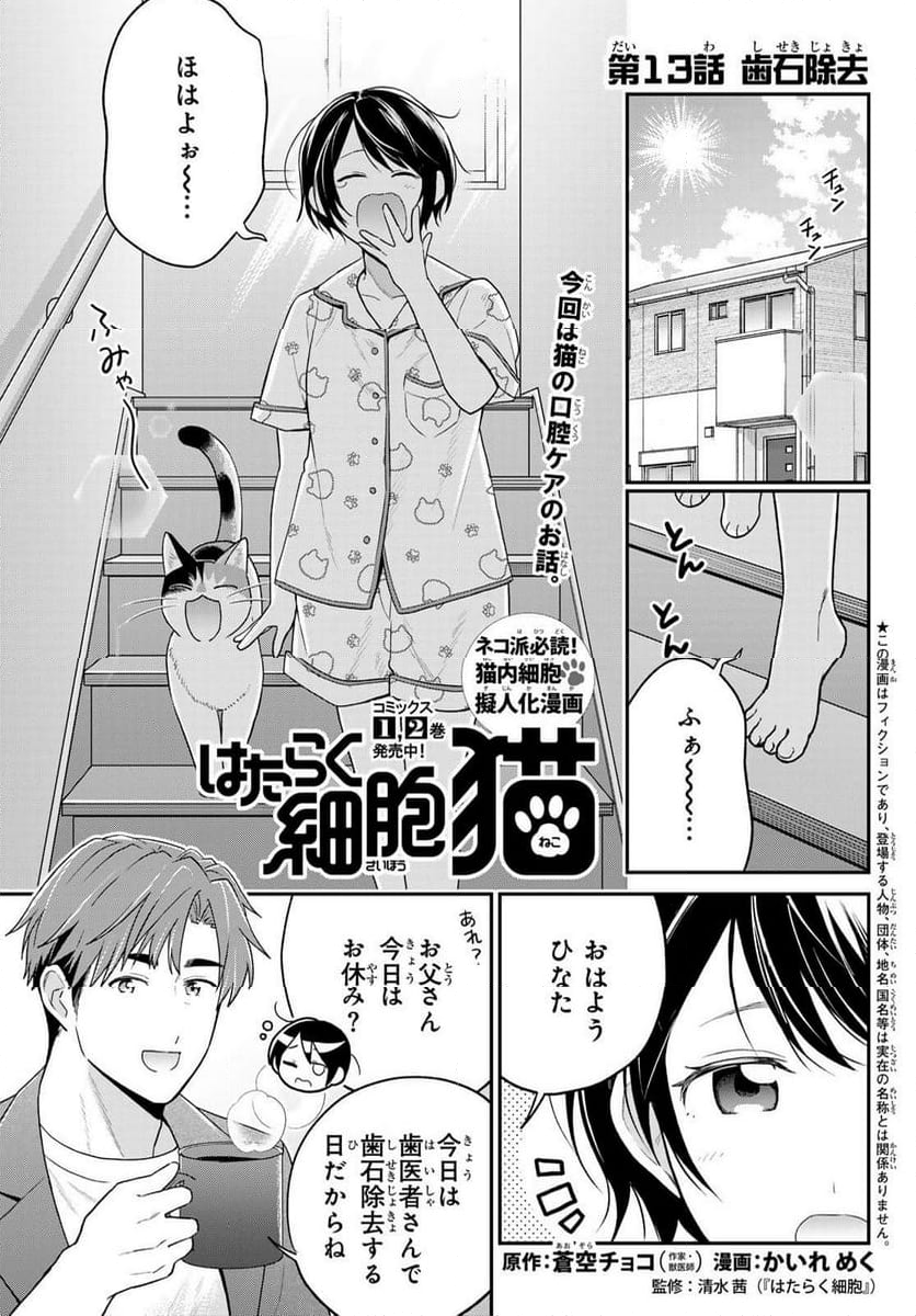 はたらく細胞猫 - 第13話 - Page 1