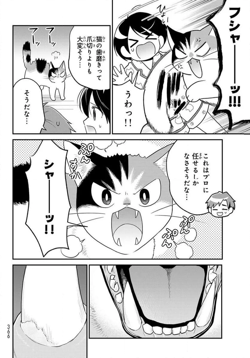 はたらく細胞猫 - 第13話 - Page 4