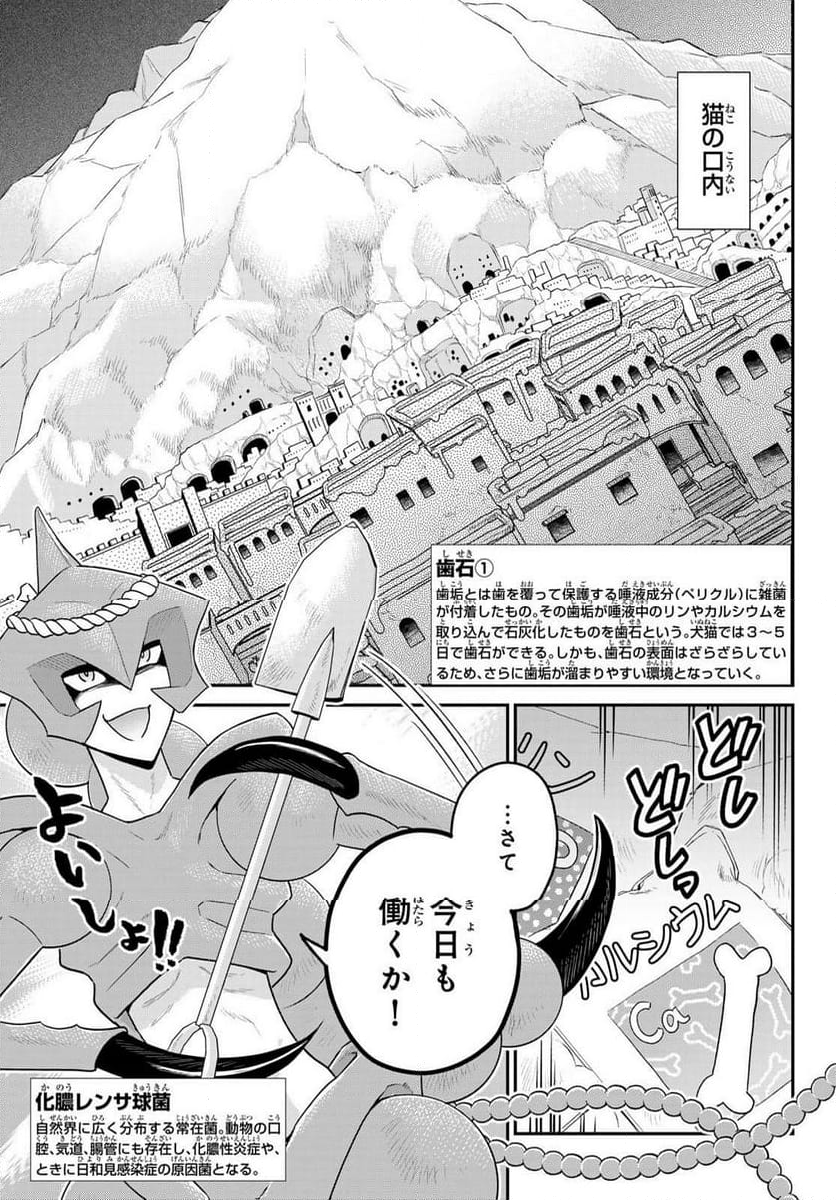 はたらく細胞猫 - 第13話 - Page 5