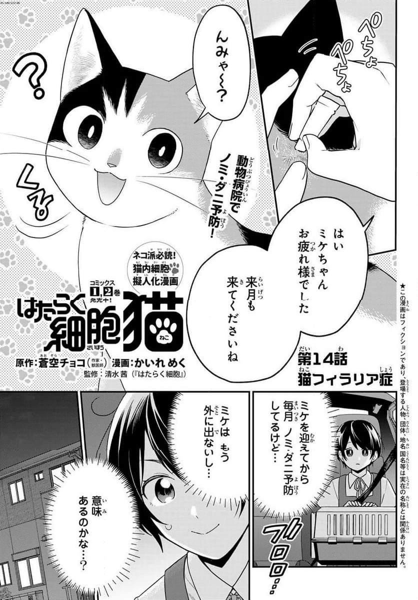 はたらく細胞猫 - 第14話 - Page 1