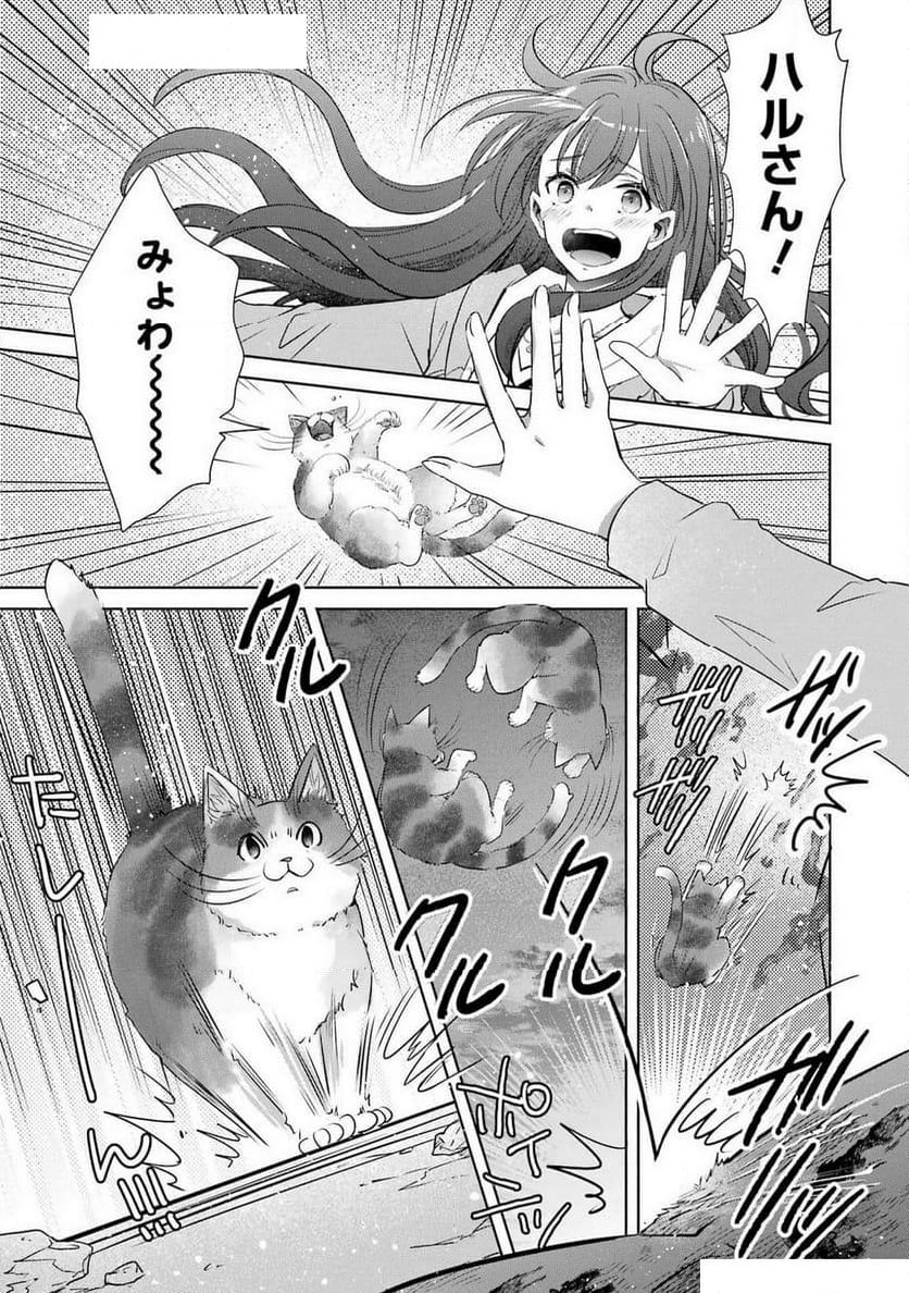 モンスターがあふれる世界になったけど、頼れる猫がいるから大丈夫です - 第1話 - Page 47