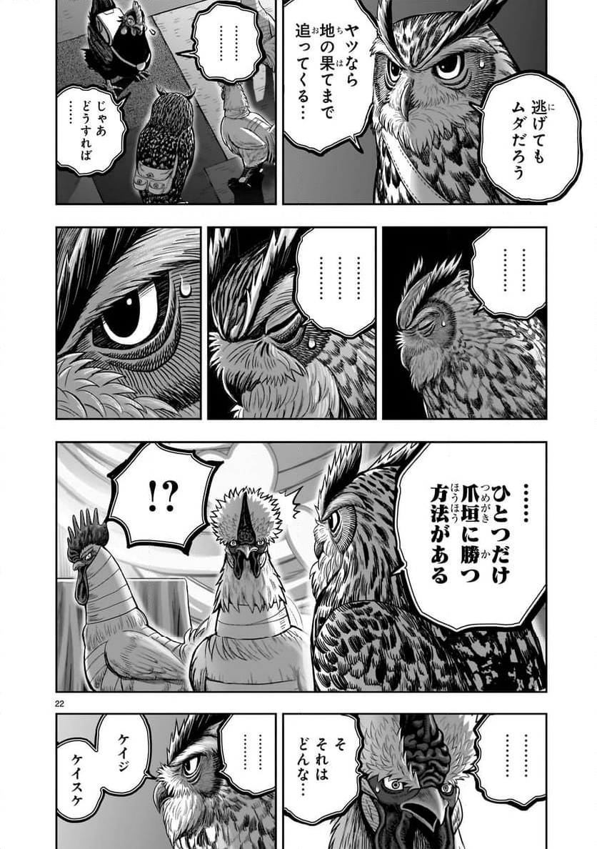 ニワトリ・ファイター - 第41話 - Page 22