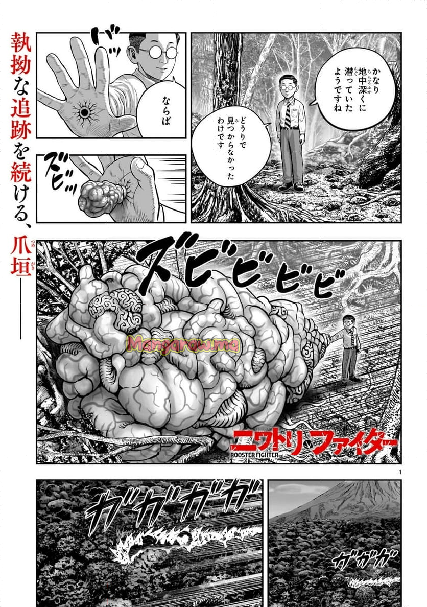 ニワトリ・ファイター - 第44話 - Page 1