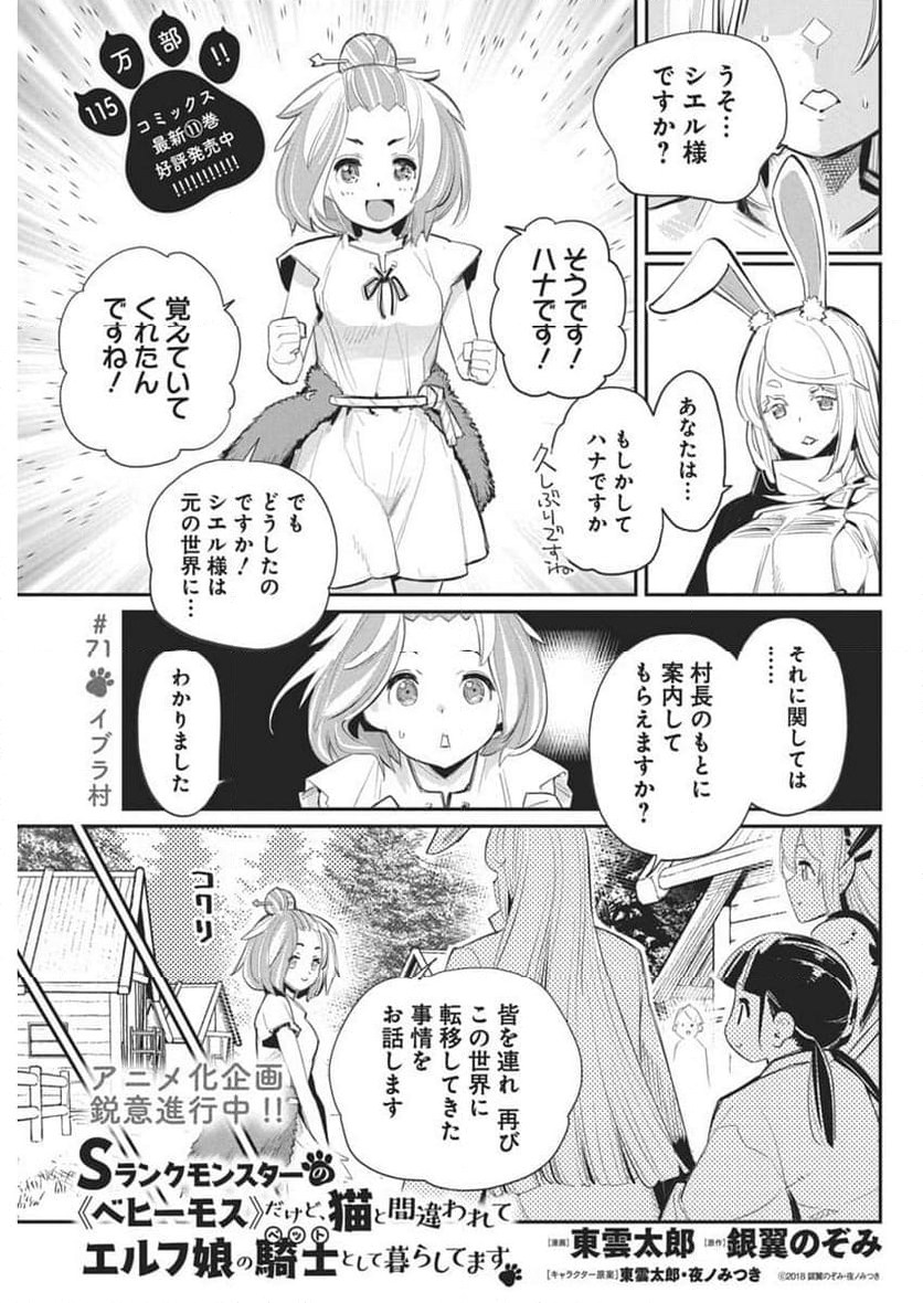 Sランクモンスターの《ベヒーモス》だけど、猫と間違われてエルフ娘の騎士(ペット)として暮らしてます - 第71話 - Page 1