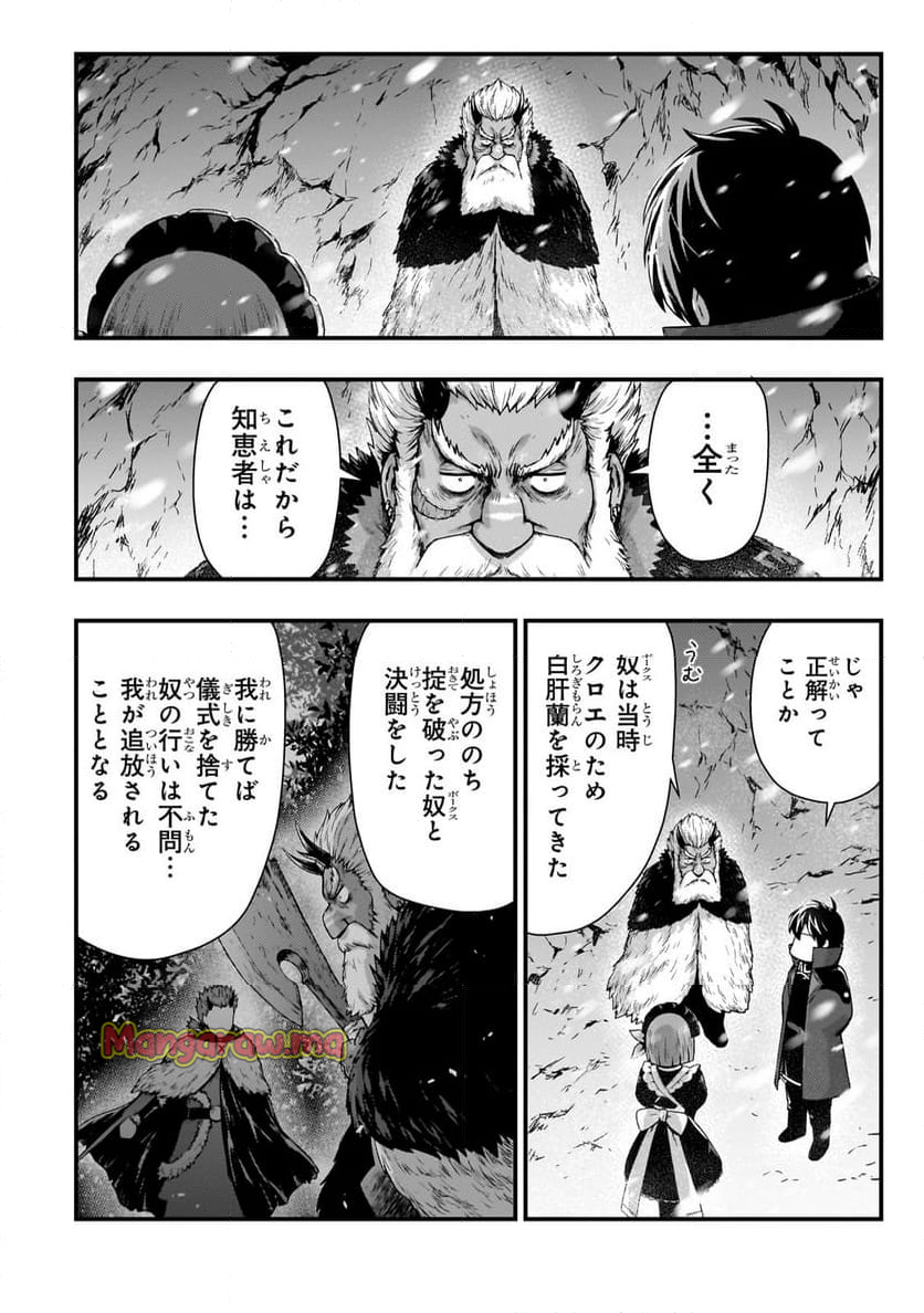 影の宮廷魔術師 - 第44話 - Page 21