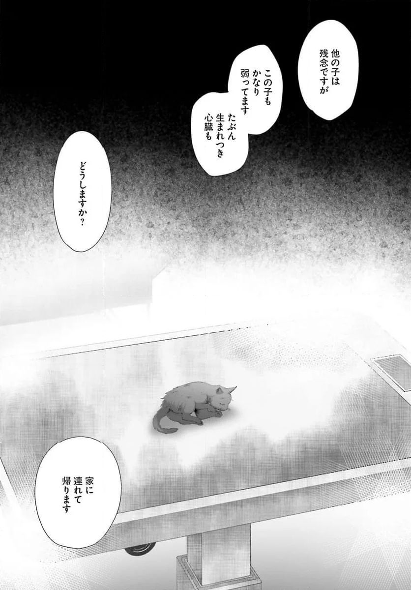 晴れ晴れ日和 - 第24話 - Page 43